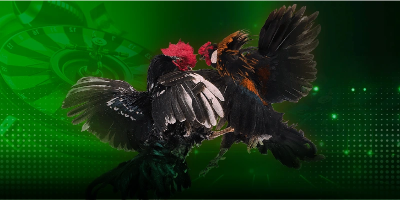 Lợi ích mà người chơi khi tham gia nhận được những phần quà